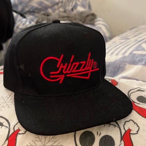 Grizzly Hat - Picture 1 of 2